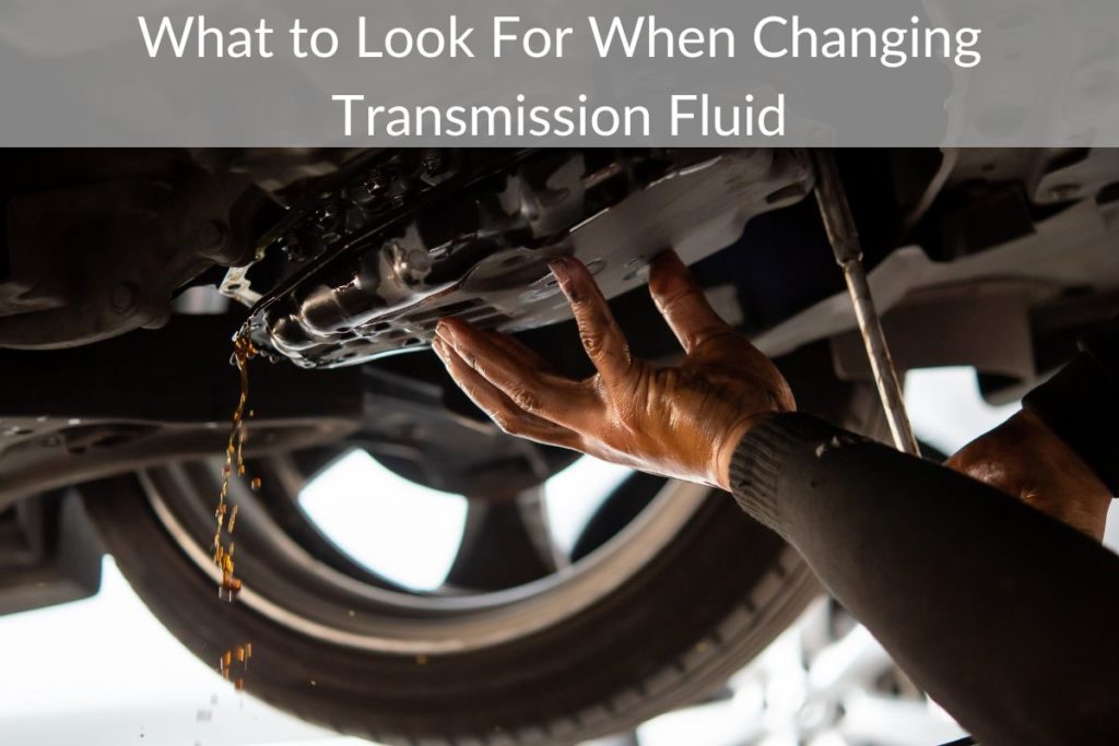 What to Look For When Changing Transmission Fluid